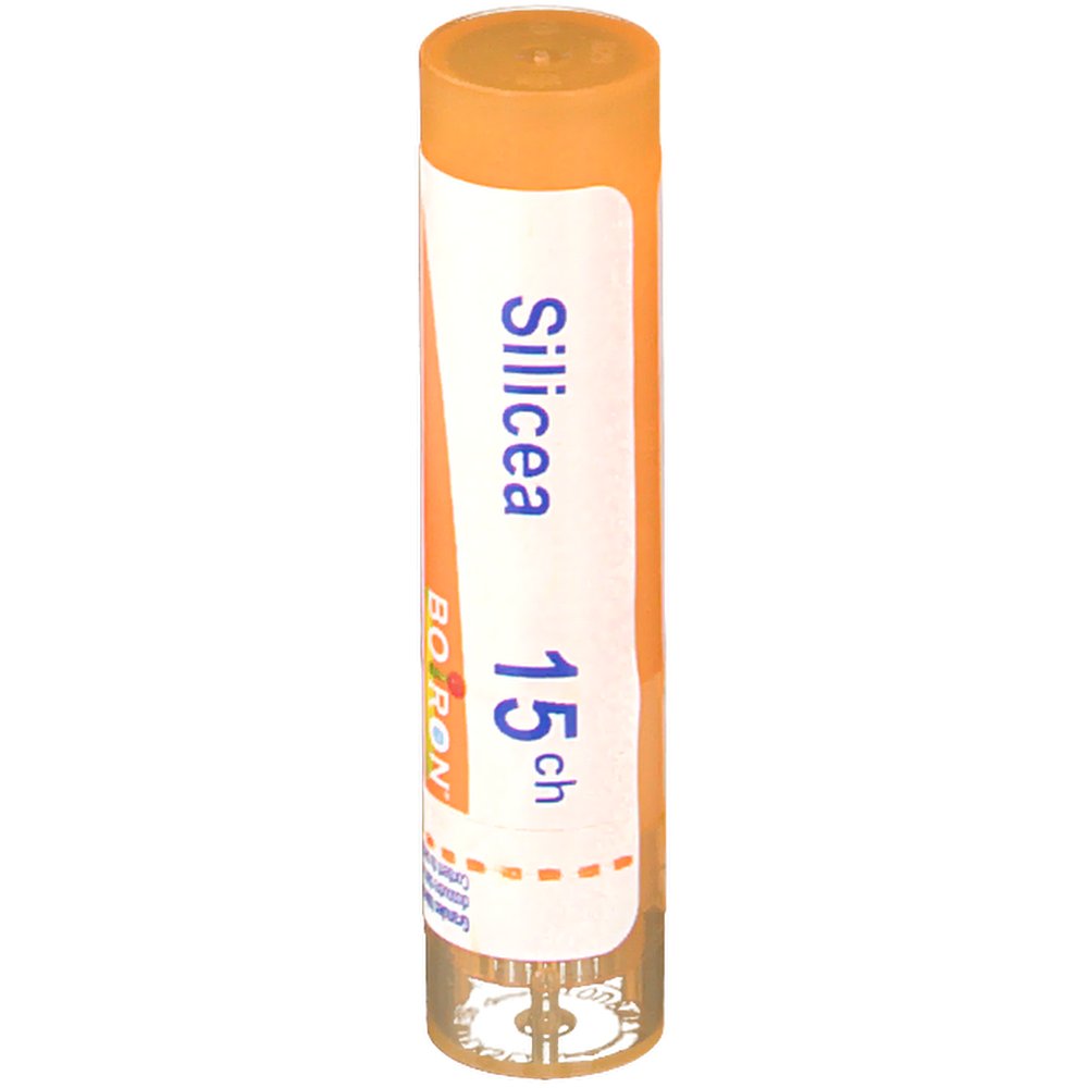 Silicea 15 Ch Tube Dose Avant Vaccin