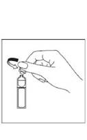 Main ouvrant une ampoule. Ampoule cylindrique, pointe arrondie. Une partie est cassée.