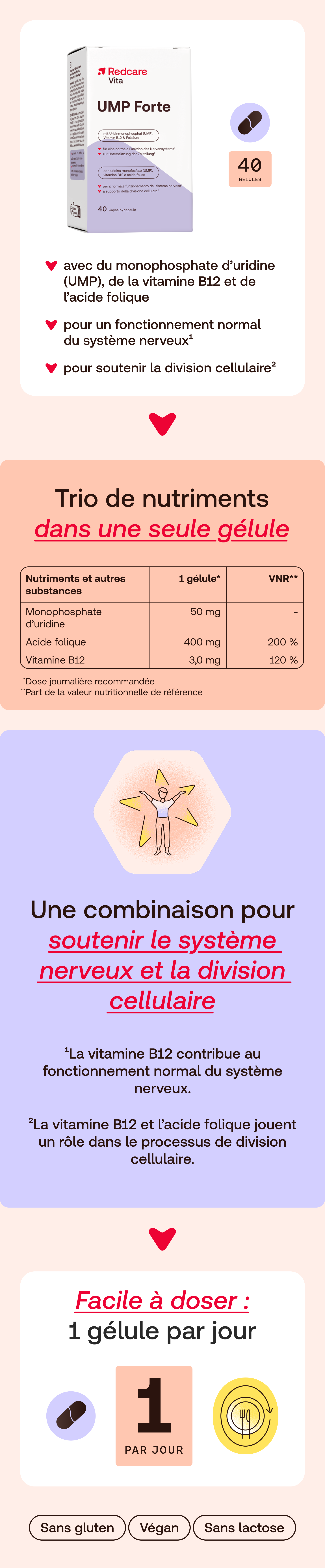 Redcare Vita UMP Forte. Boîte avec 40 gélules. Contient UMP, vitamine B12 et acide folique. Pour fonction nerveuse et division cellulaire.